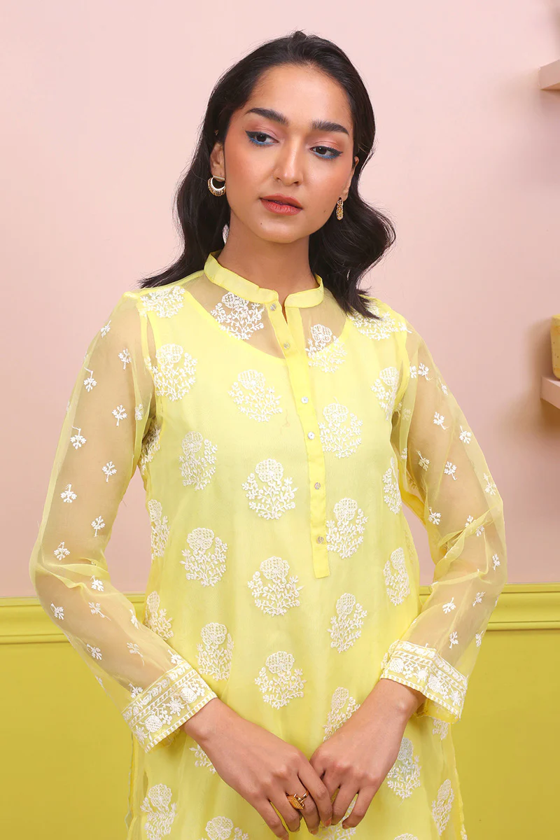 Naaz Organza 2-Piece - Image 2