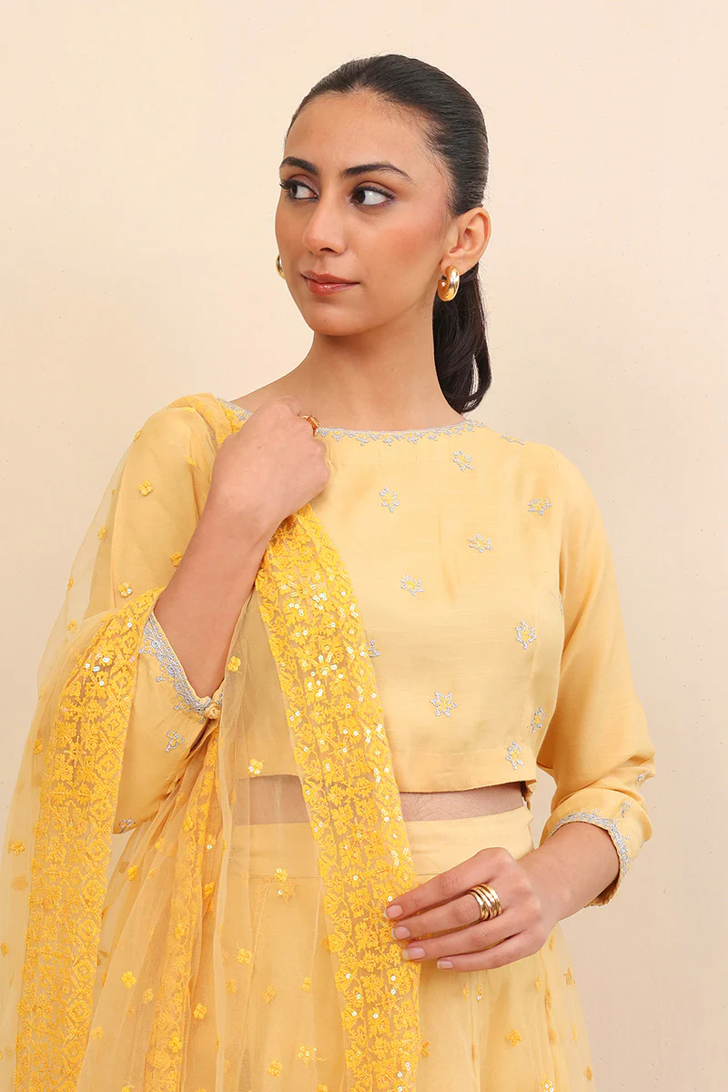 Pan Banaras Lehnga Set - Image 2