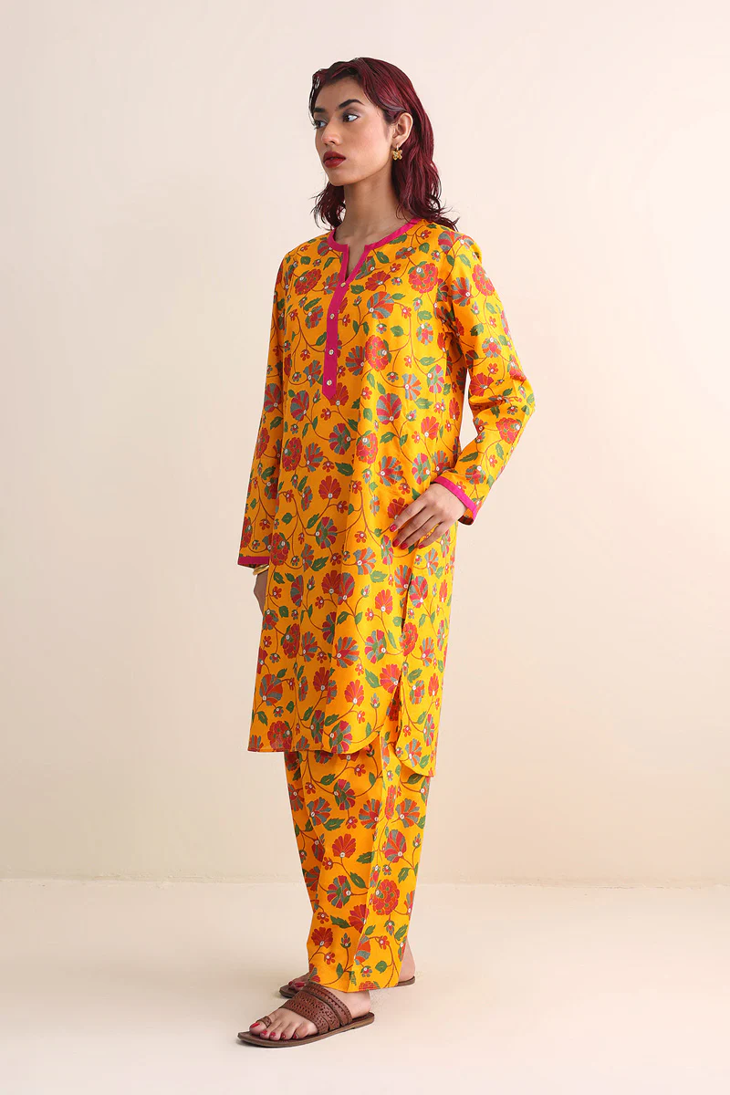 Paithani Printed Suit - Image 5