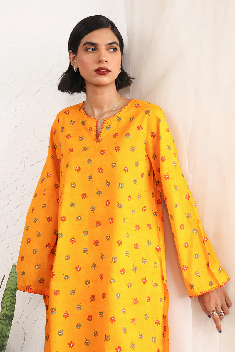 Paithani 2 Piece - Image 6