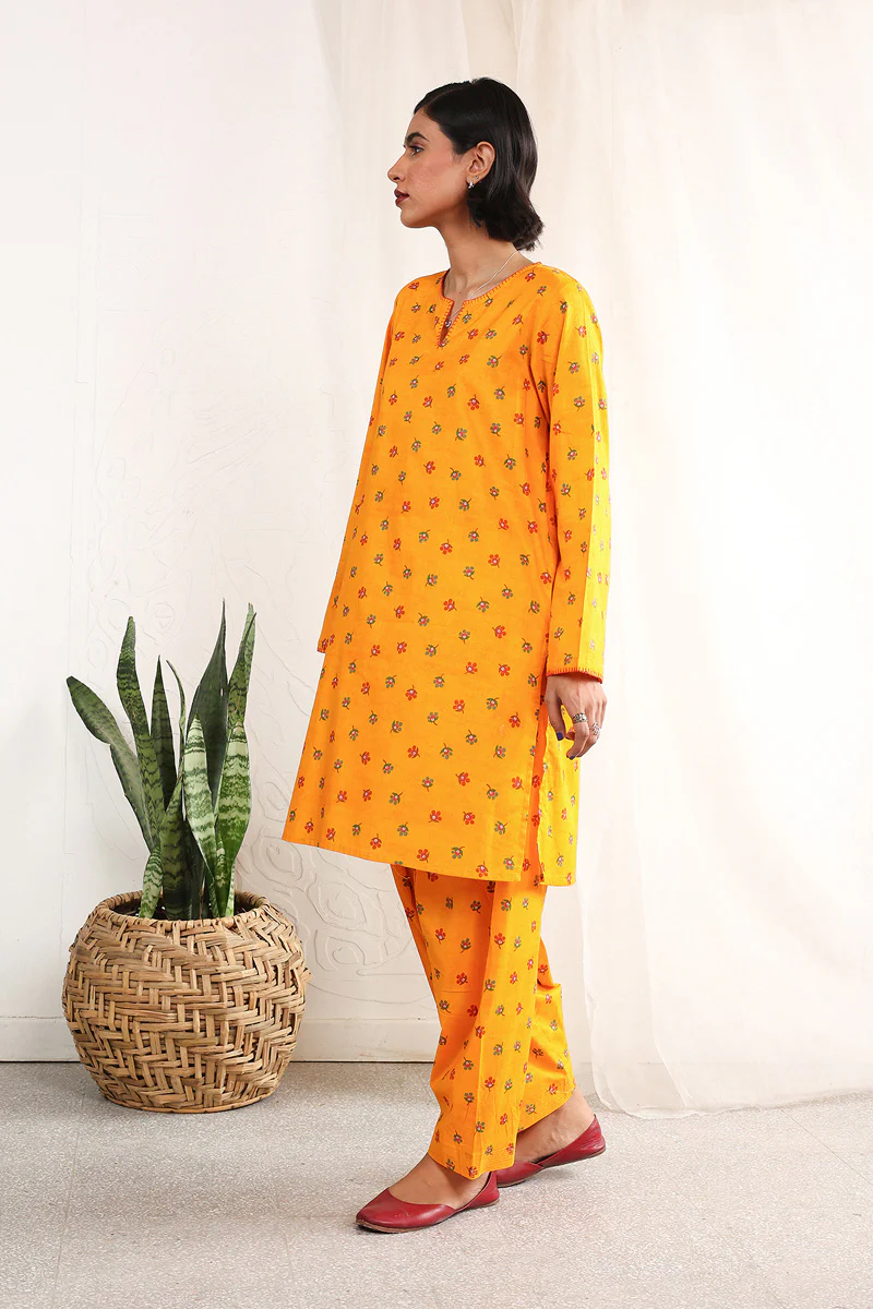 Paithani 2 Piece - Image 8