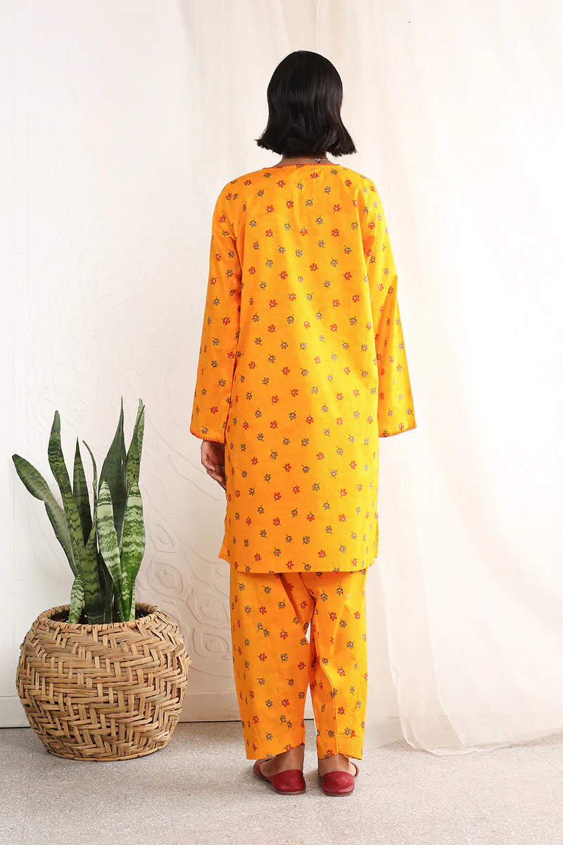 Paithani 2 Piece - Image 9