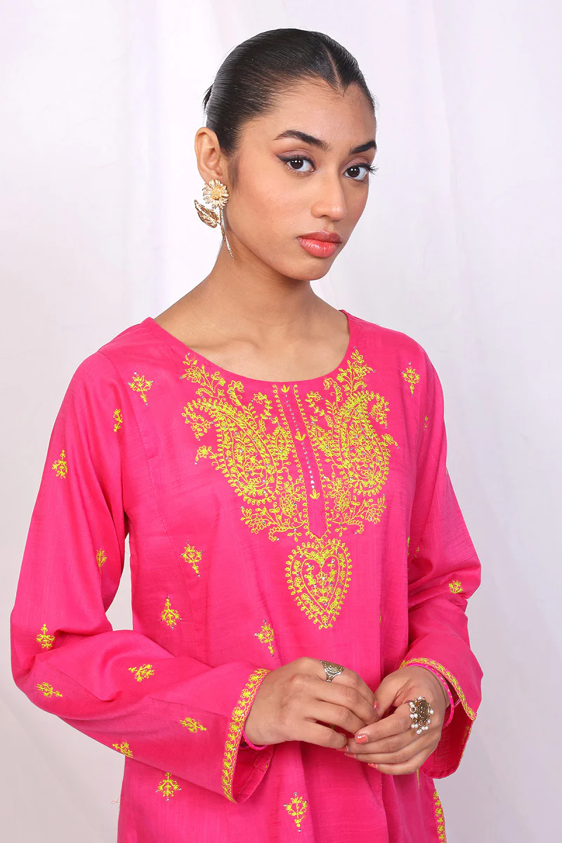 Rangeen Embroidered Set - Image 2