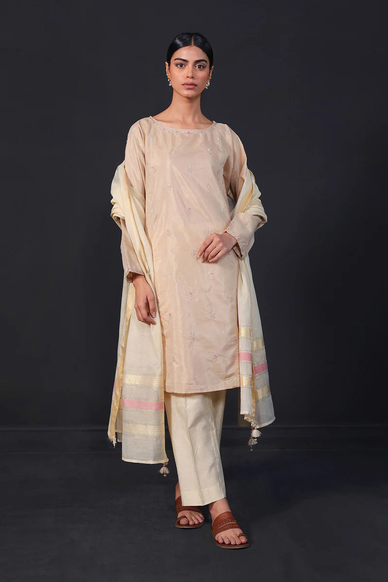 Desi Dreams Embroidered 1-Piece Kurta - Image 2