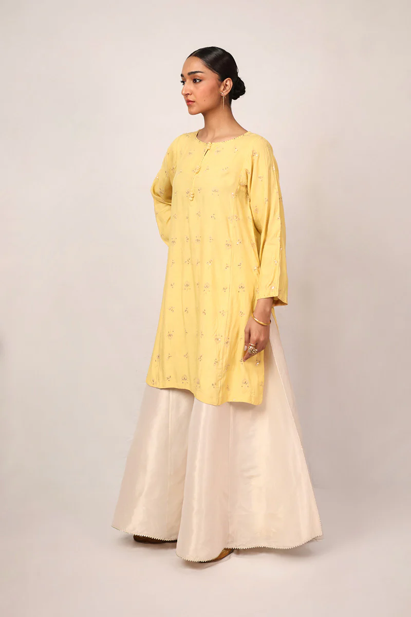 Pure Lumban Kurta - Image 4