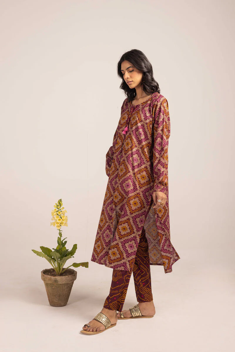 Chunari Charm Flared Duo - Image 16