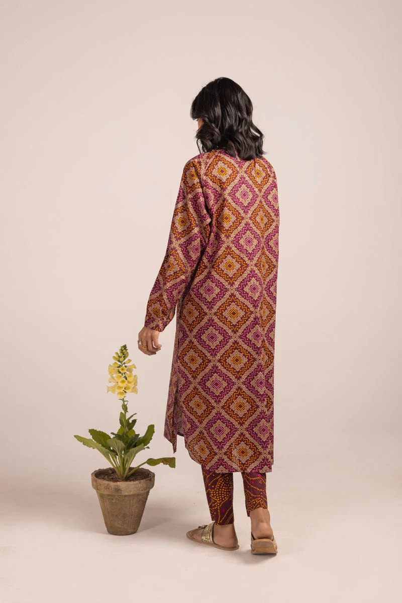 Chunari Charm Flared Duo - Image 18
