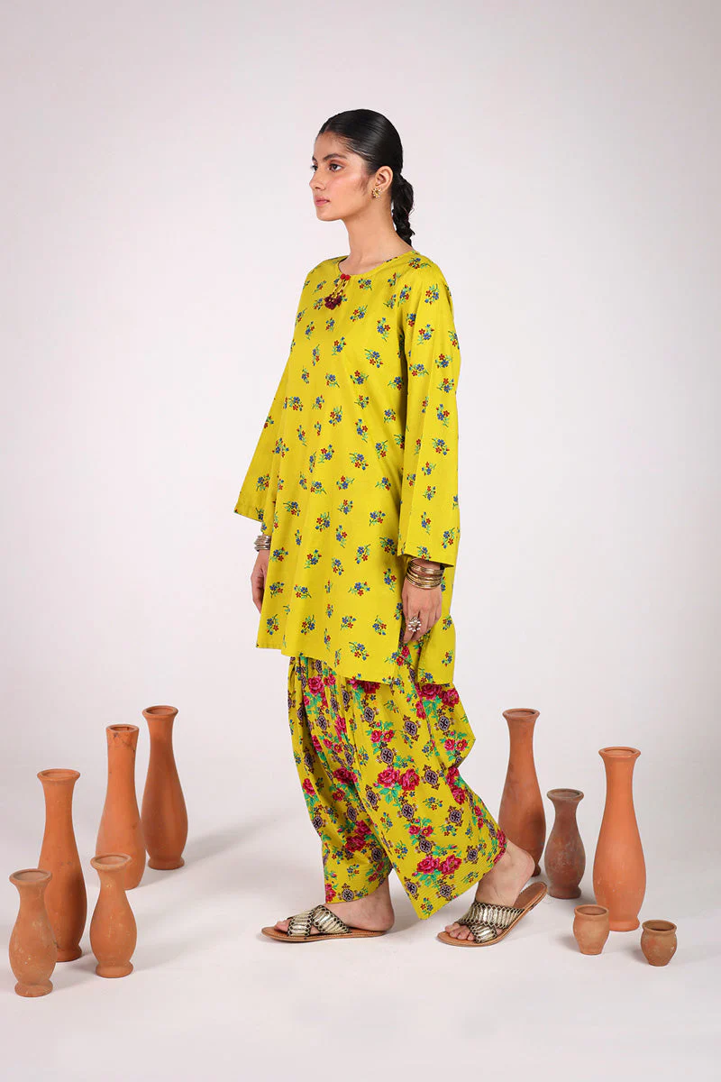 Rangeela Balochi Booti Duo - Image 15
