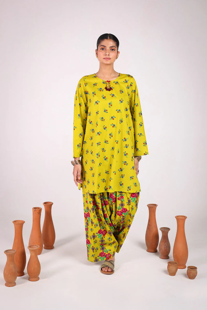 Rangeela Balochi Booti Duo - Image 16