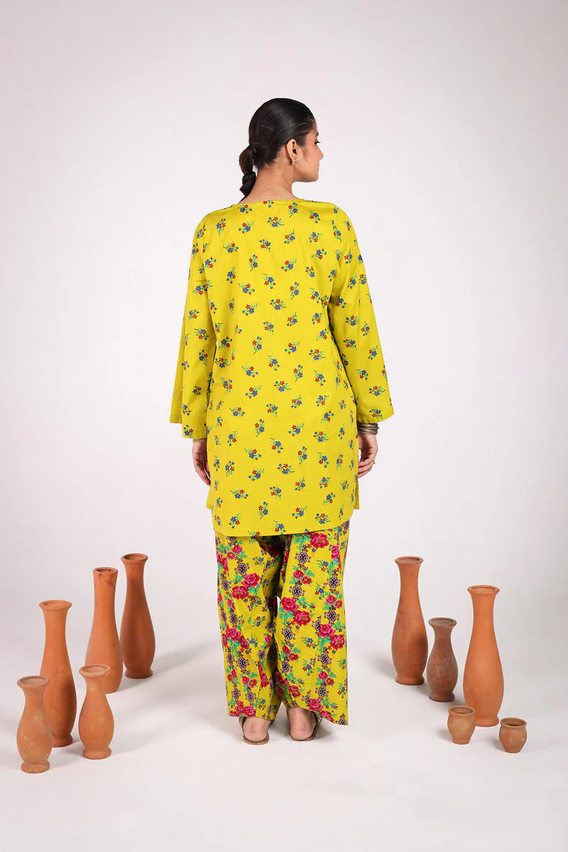 Rangeela Balochi Booti Duo - Image 19