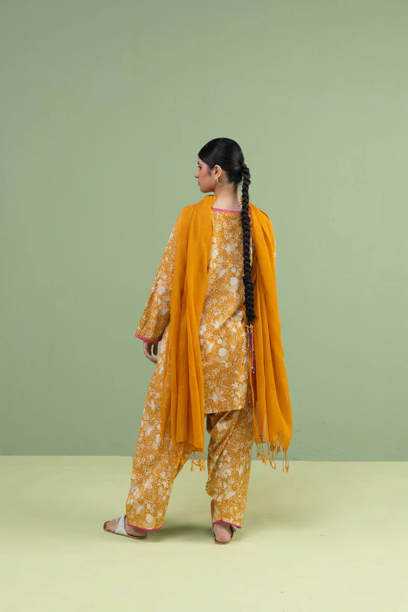 Gul-E-Aqs Printed Dual-Set - Image 8