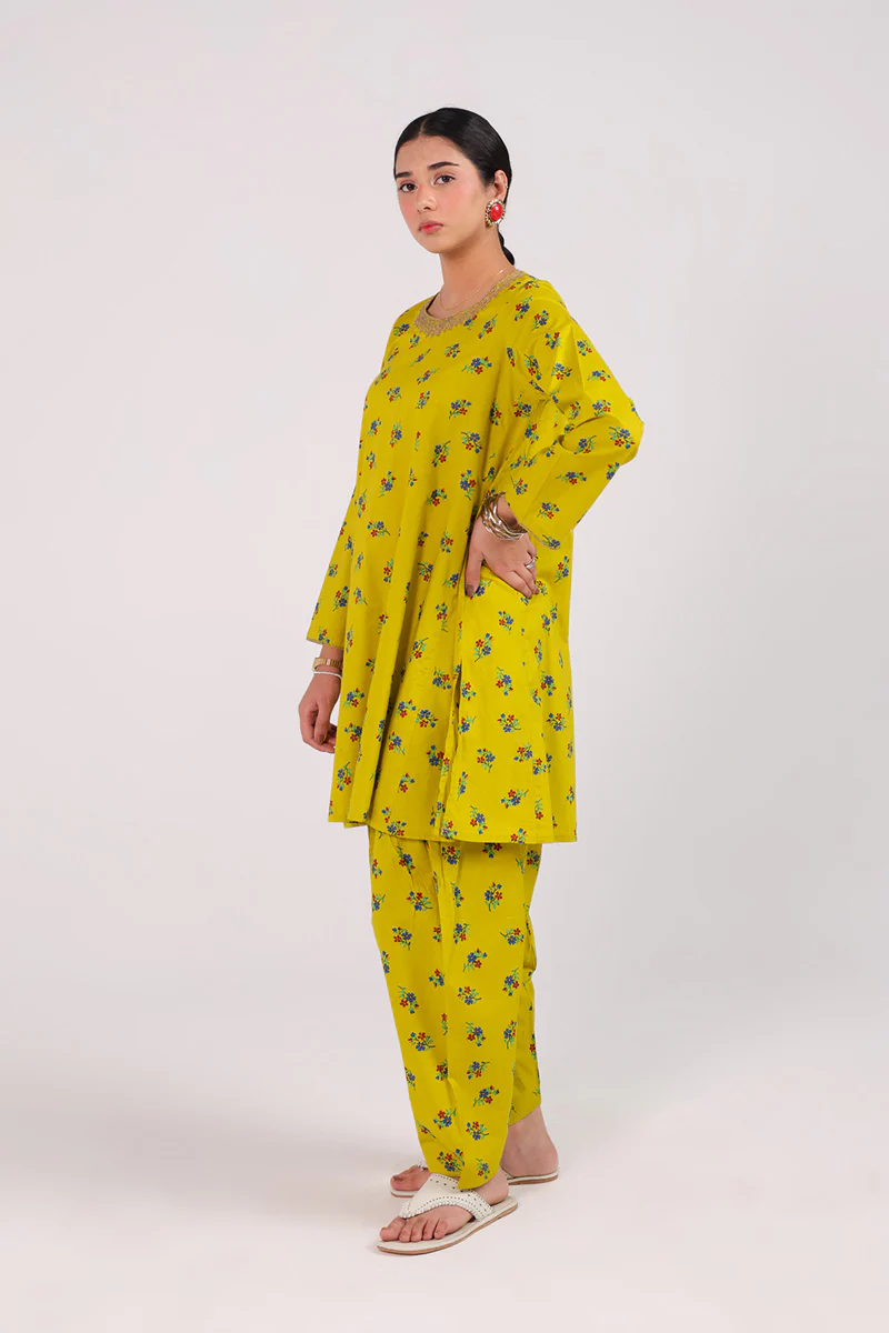 Gilded Balochi Booti Set - Image 12