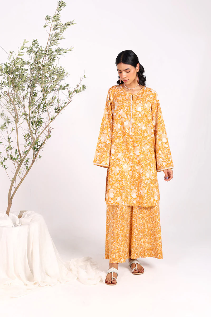 Coordinated Gul E Aqs Duo - Image 24