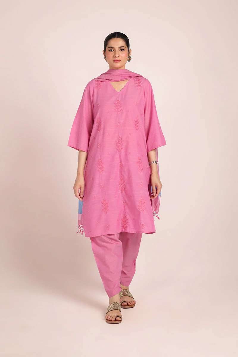 Aina Jahan Suit - Image 13