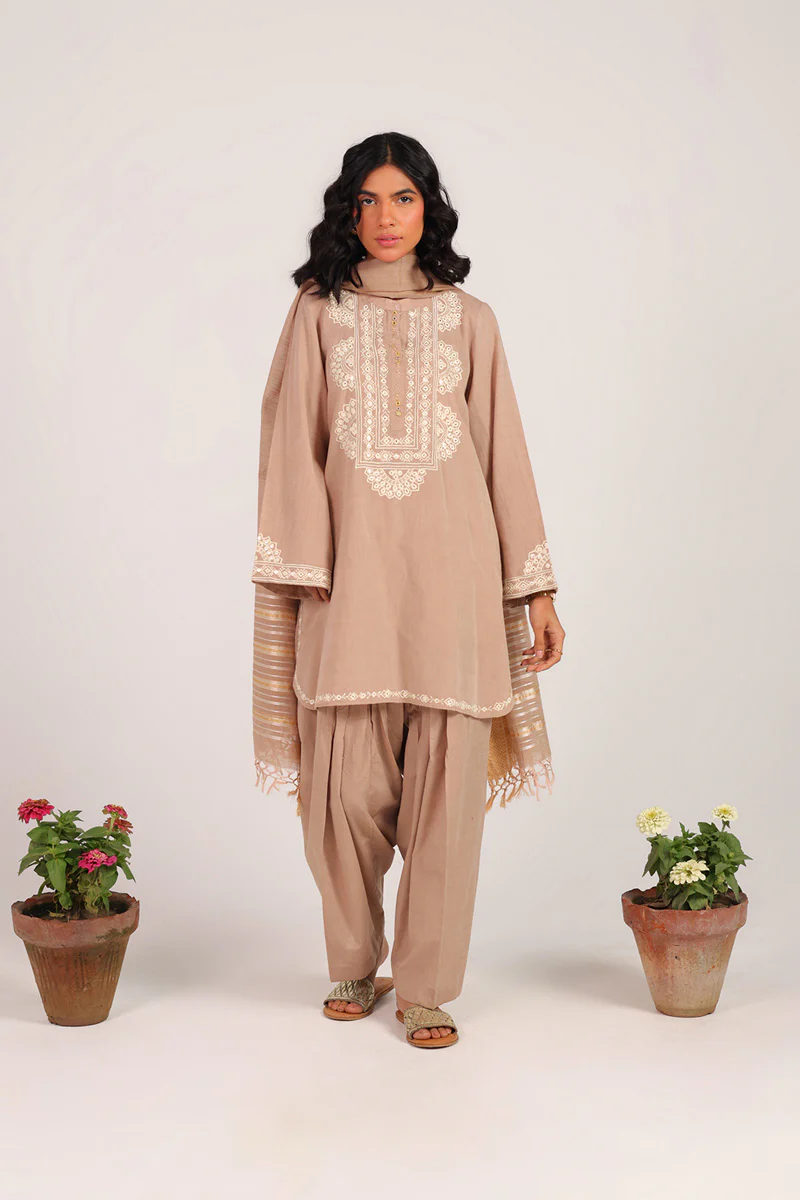 Aina Jhalak Suit - Image 10