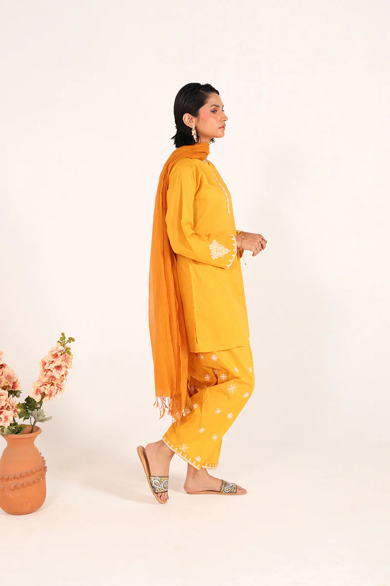 Chakoor Heritage Ensemble - Image 7