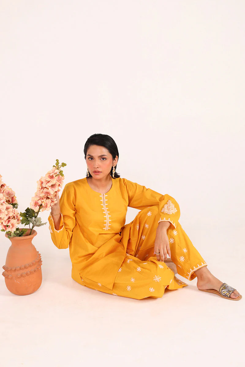 Chakoor Heritage Ensemble - Image 8
