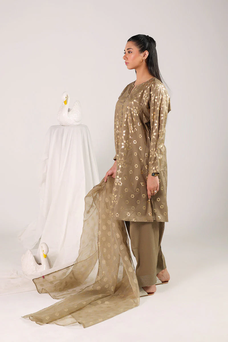 Rang-e-Husna 3 Piece Suit - Image 13