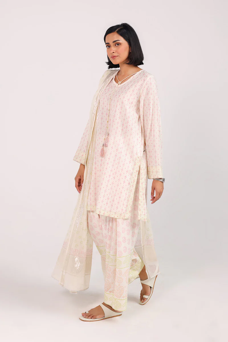 Anarkali Block Grace 3 Piece Suit - Image 3