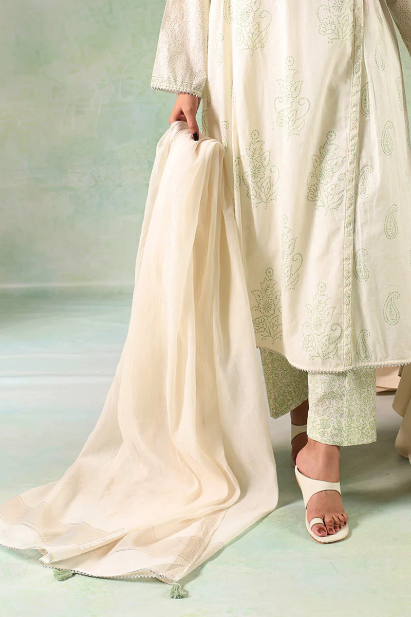 Husn-e-Anarkali 3 Piece Suit - Image 3