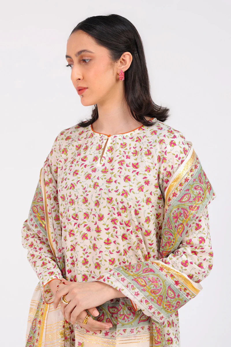 Anarkali Opulent 3 Piece Suit - Image 4