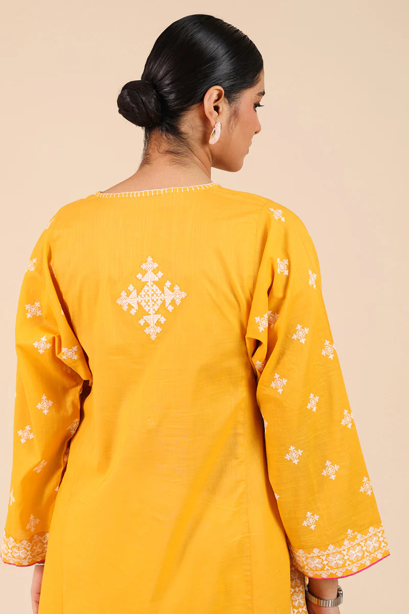 Chakoor Embroidered Kurta - Image 5