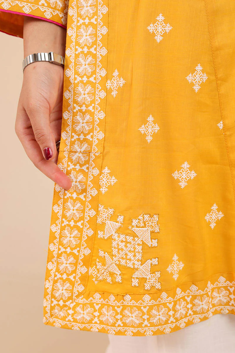 Chakoor Embroidered Kurta - Image 6