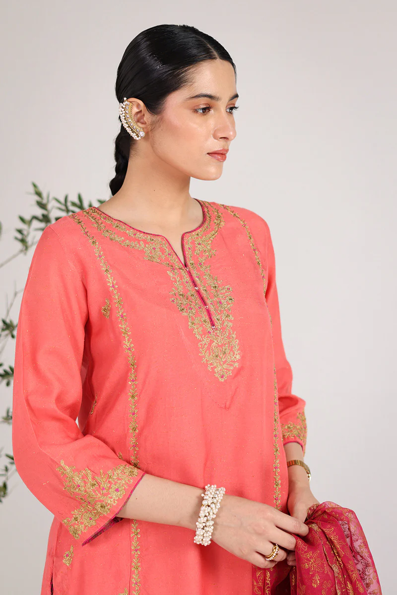 Hues of Red Zareen 3 Piece - Image 3