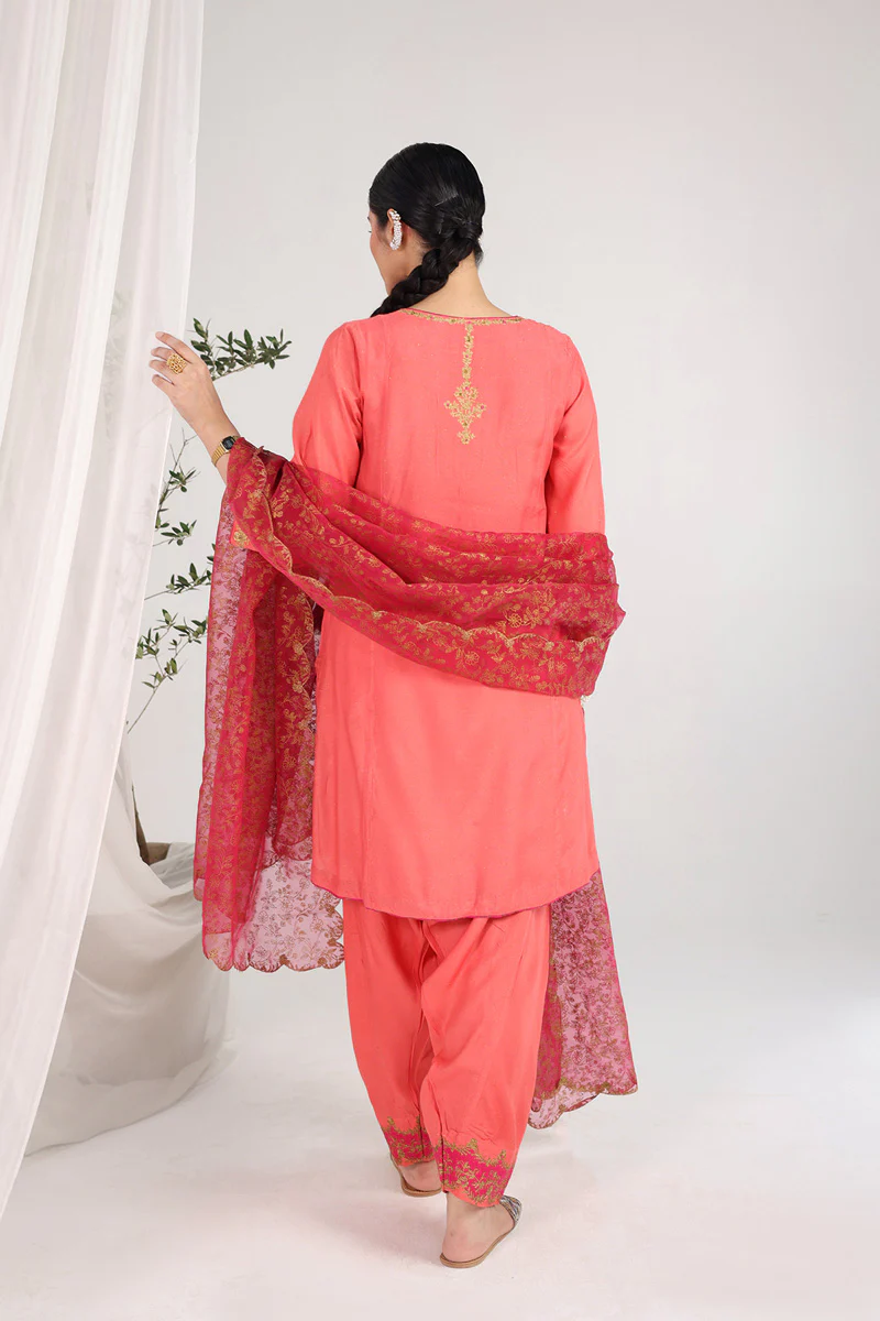 Hues of Red Zareen 3 Piece - Image 5