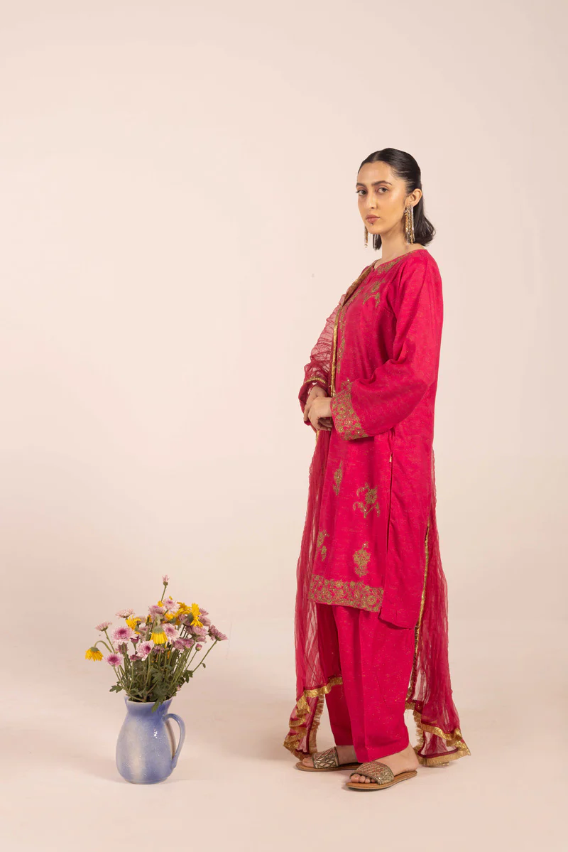 Hues of Red Nazakat 3 piece - Image 3
