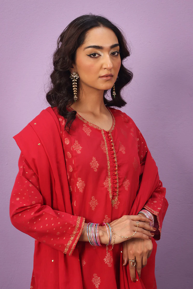 Raat ki Rani Zerwesh Suit - Image 3