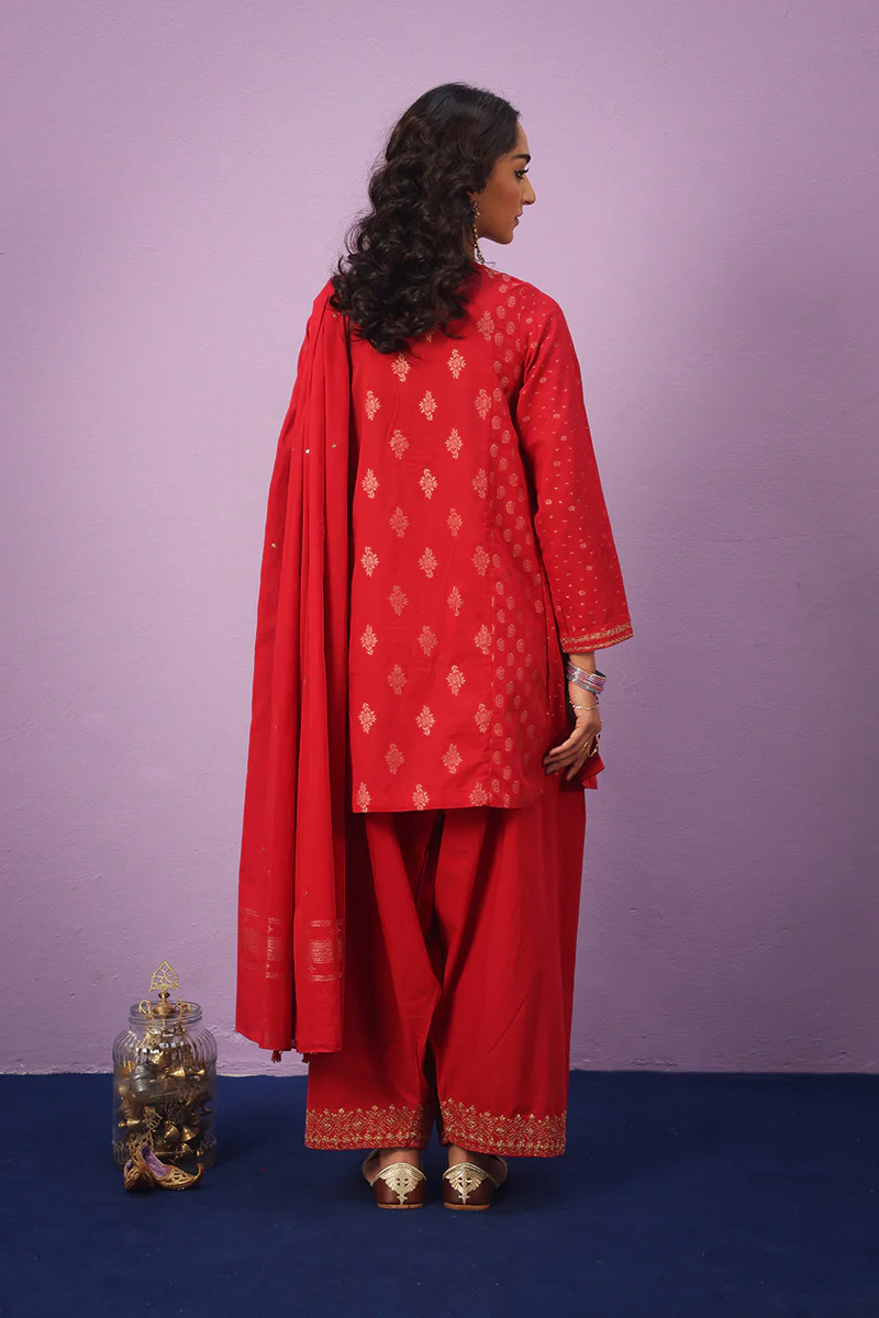 Raat ki Rani Zerwesh Suit - Image 5