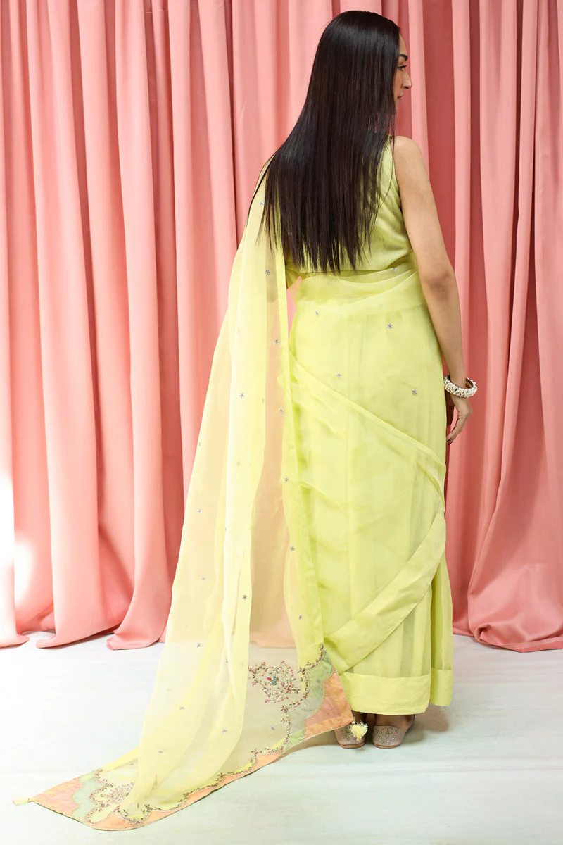 Mahrani Embroidered Nur Saree - Image 9