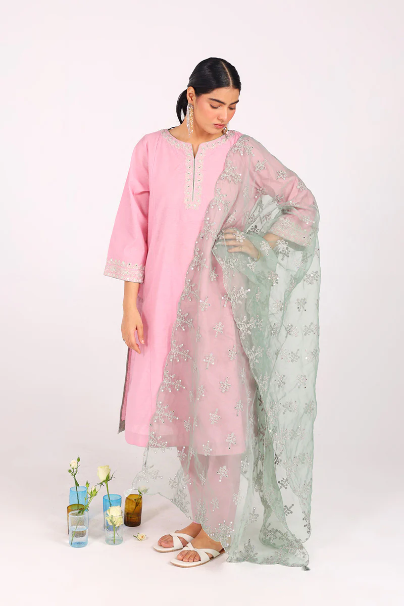 Sunehri Glitz Panni 3 Piece Suit