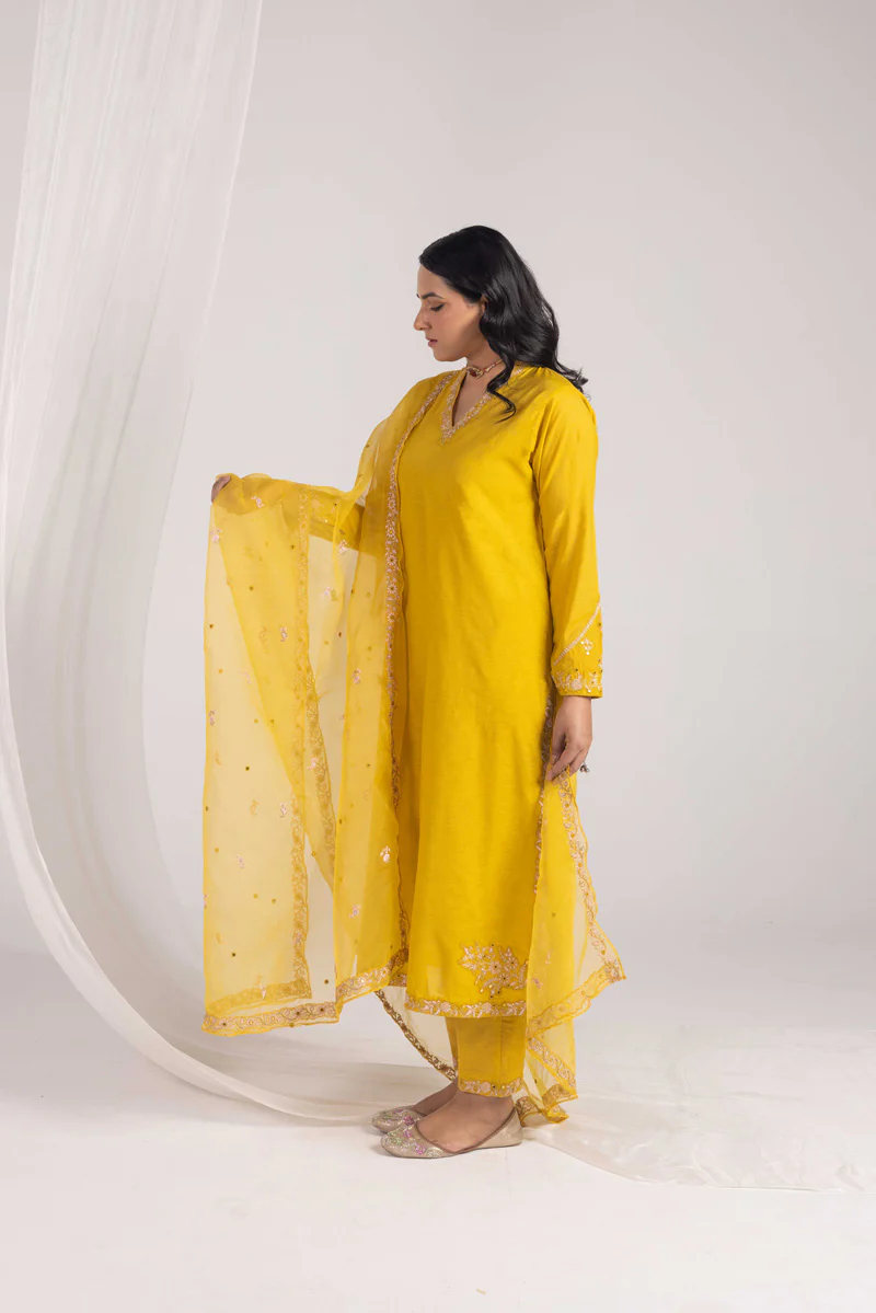 Opulent Glitz Panni 3 Piece Suit - Image 3