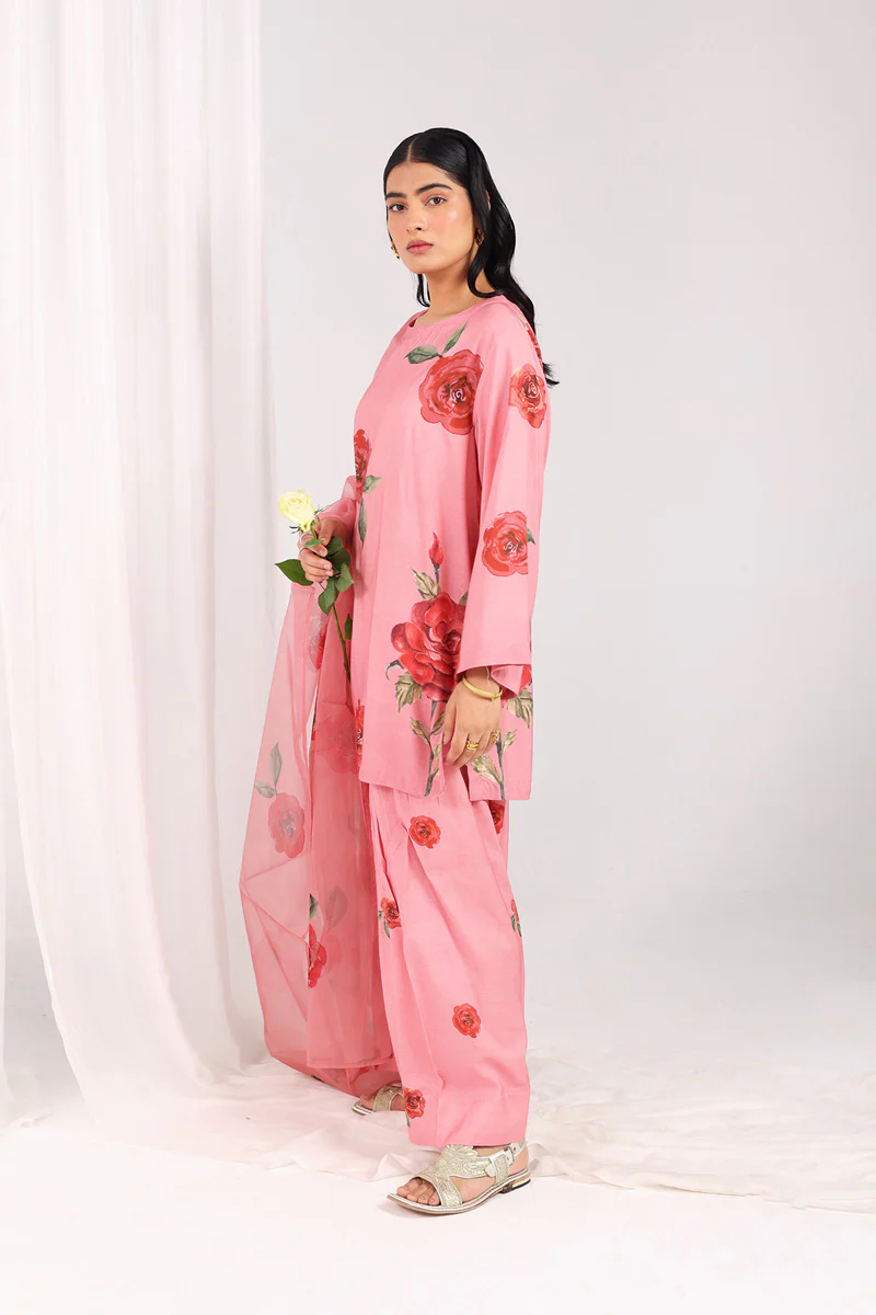 Bahar Phool Rang & Dastaan 3 - Image 3