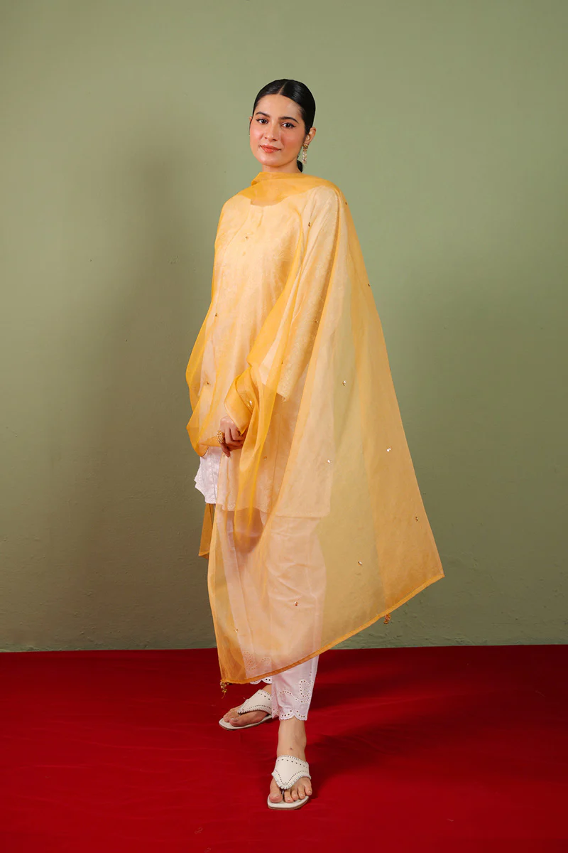 Golden Dusk Dupatta - Image 5
