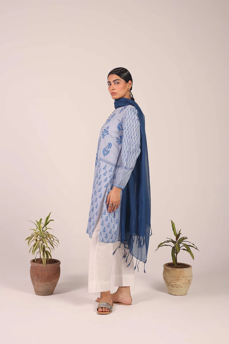 Pleated Chintz Whisper Kurta - Image 3