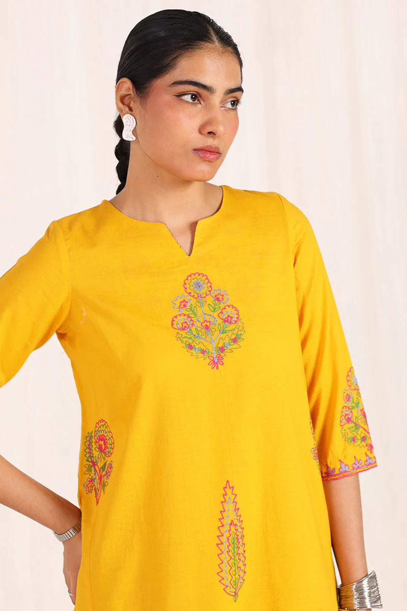 Kachnaar Aari Kahani Ensemble - Image 13