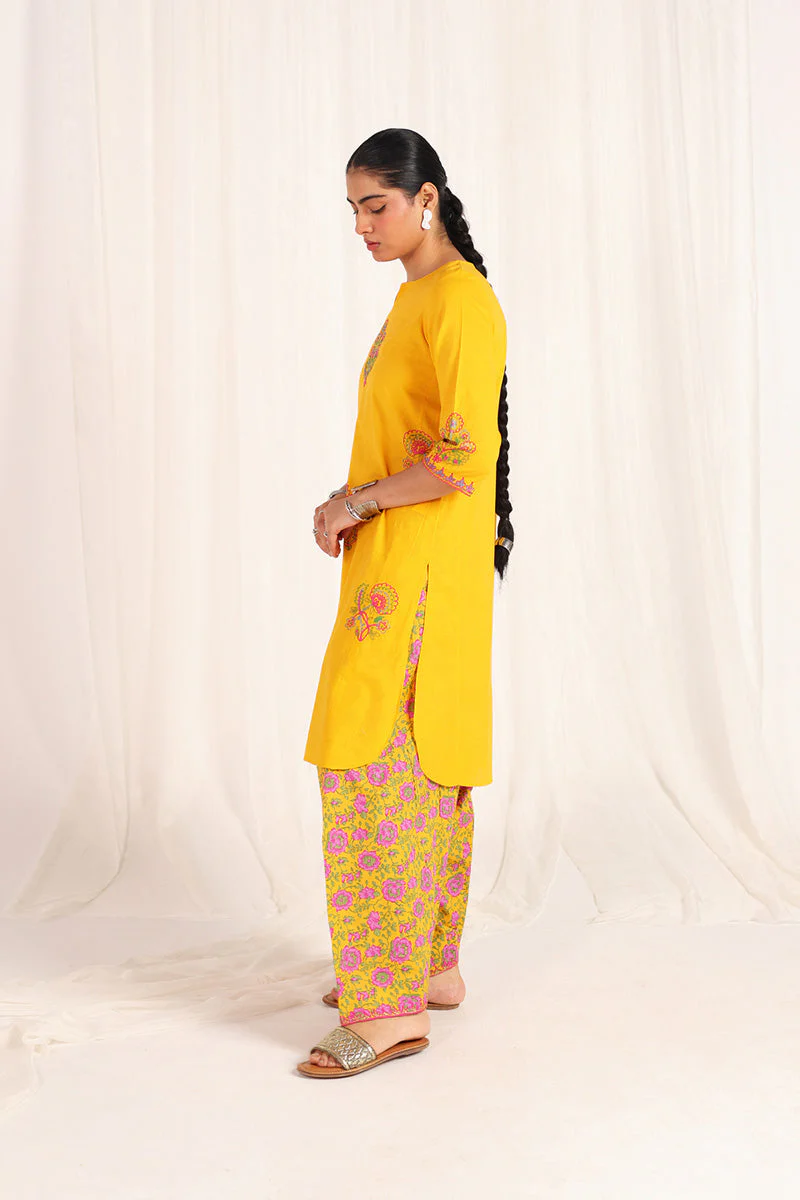 Kachnaar Aari Kahani Ensemble - Image 14