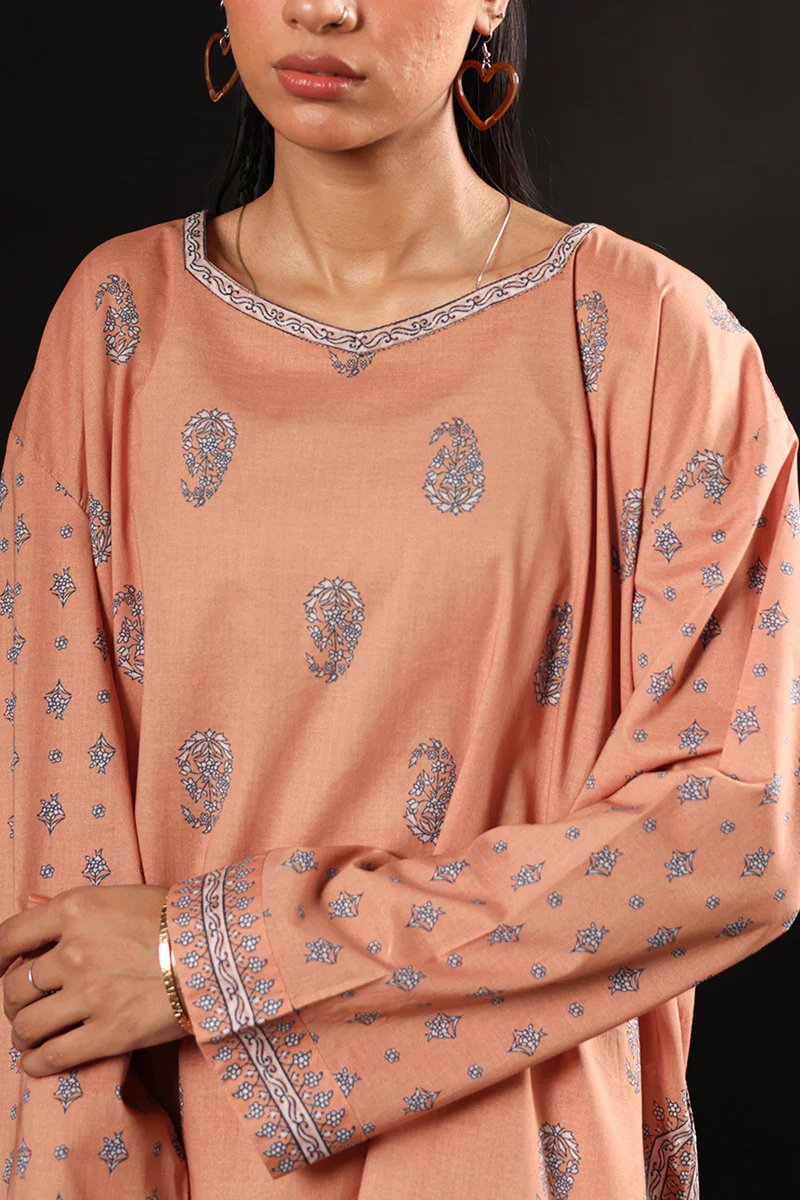 Printed Paisley Set - Image 2