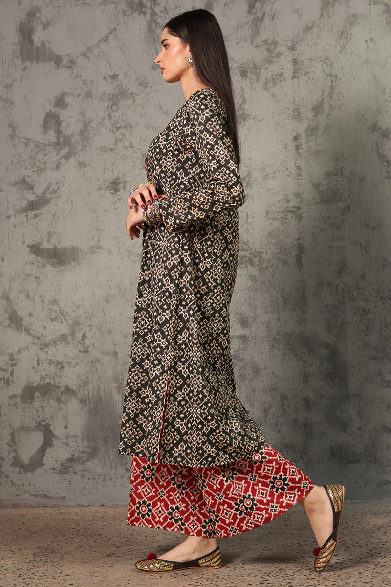 Rang Patola Printed Set