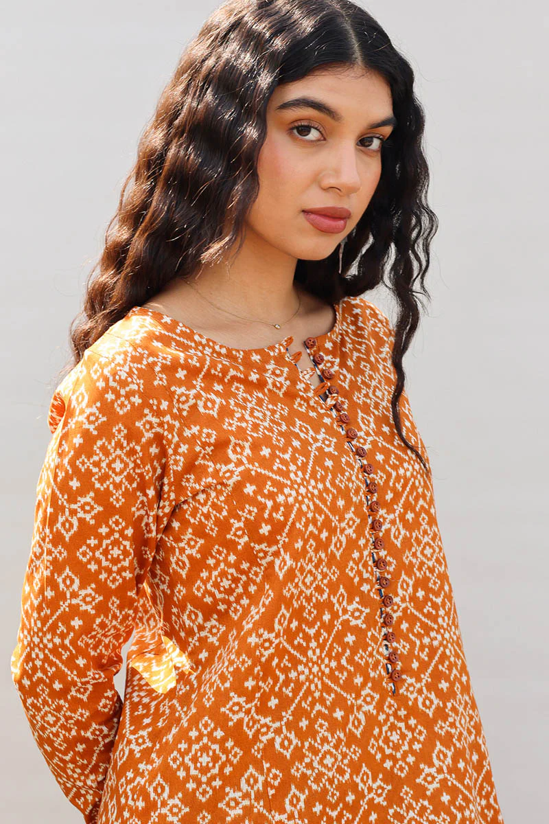 Rang Patola Printed Set - Image 6
