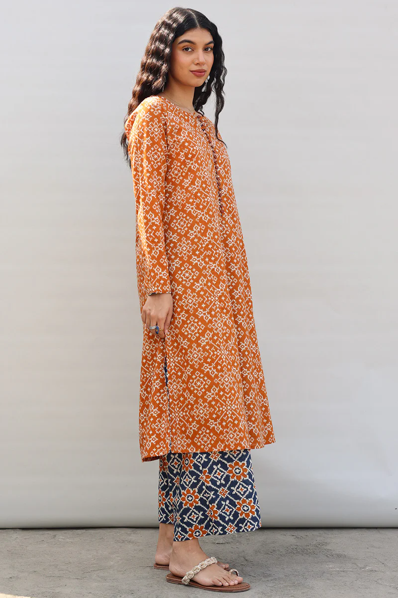 Rang Patola Printed Set - Image 7