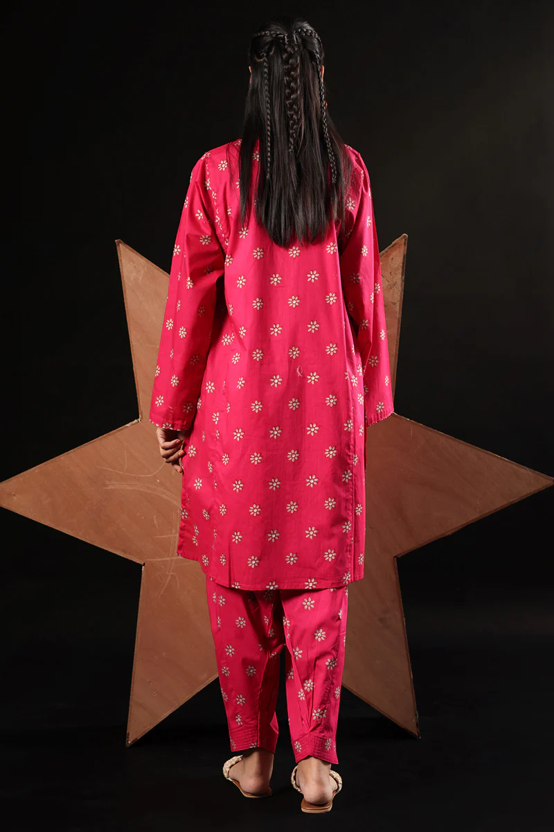 Printed Naqshi Duo-Set - Image 4