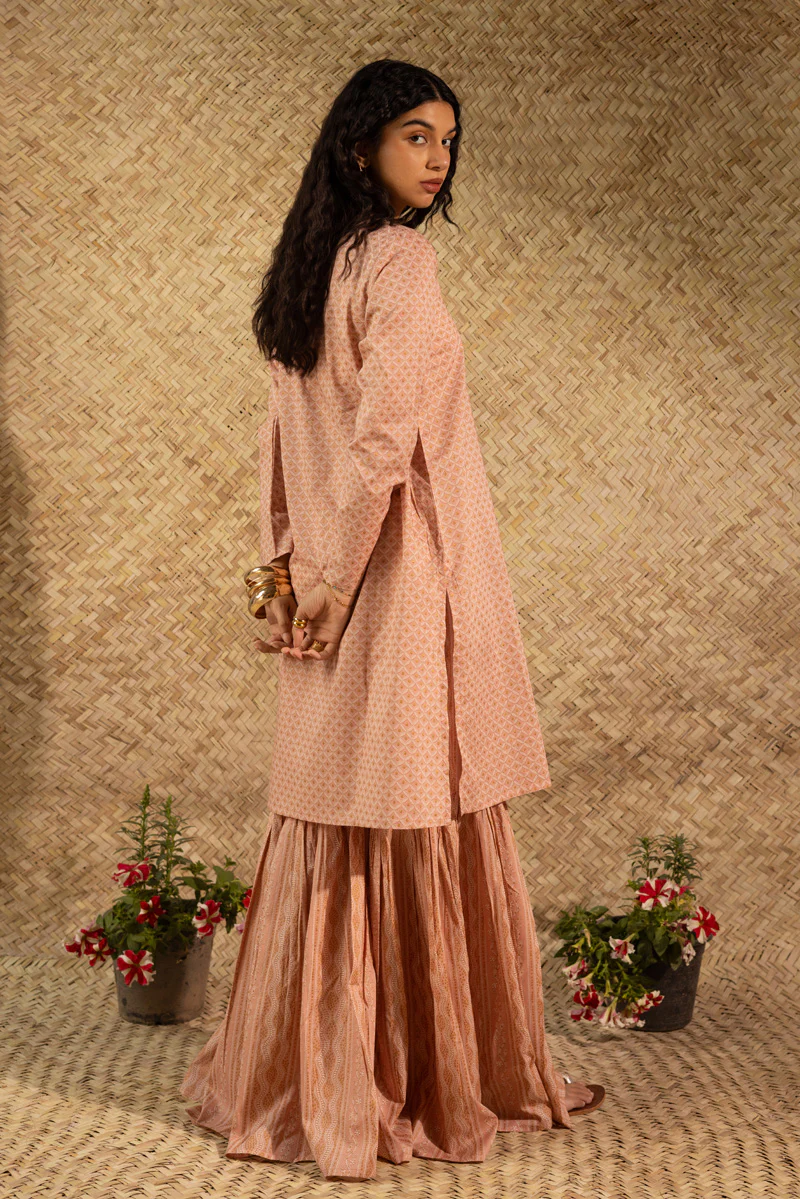 Shadow Stitch Gharara Set - Image 8