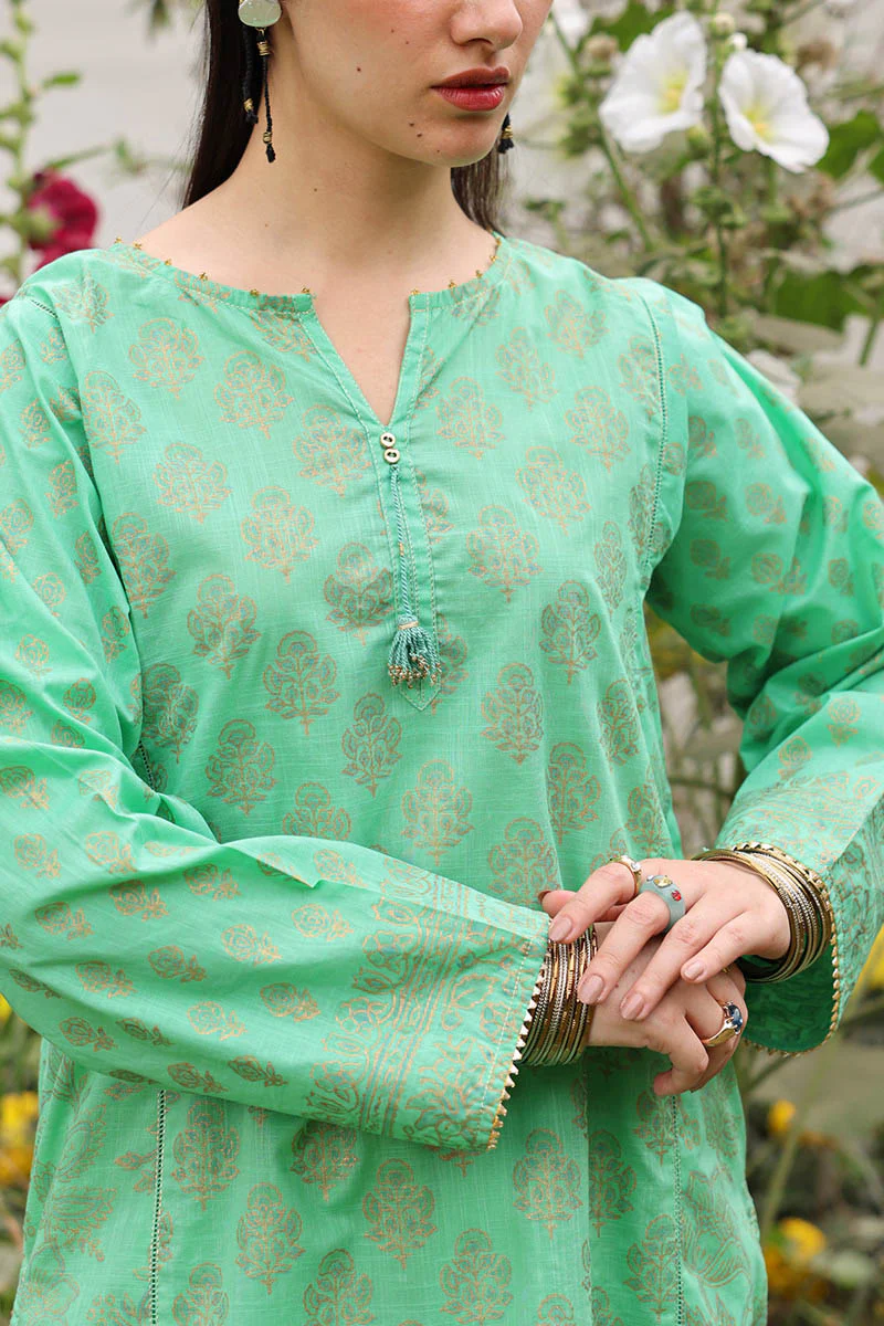 Rang-e-Jamni Farshi Set - Image 7
