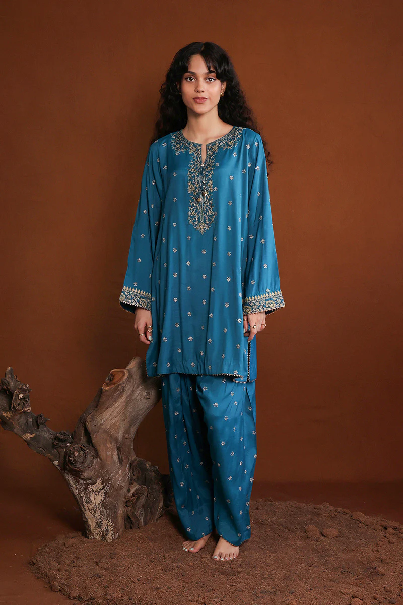Embroidered Zuvandai 2 Piece - Image 2