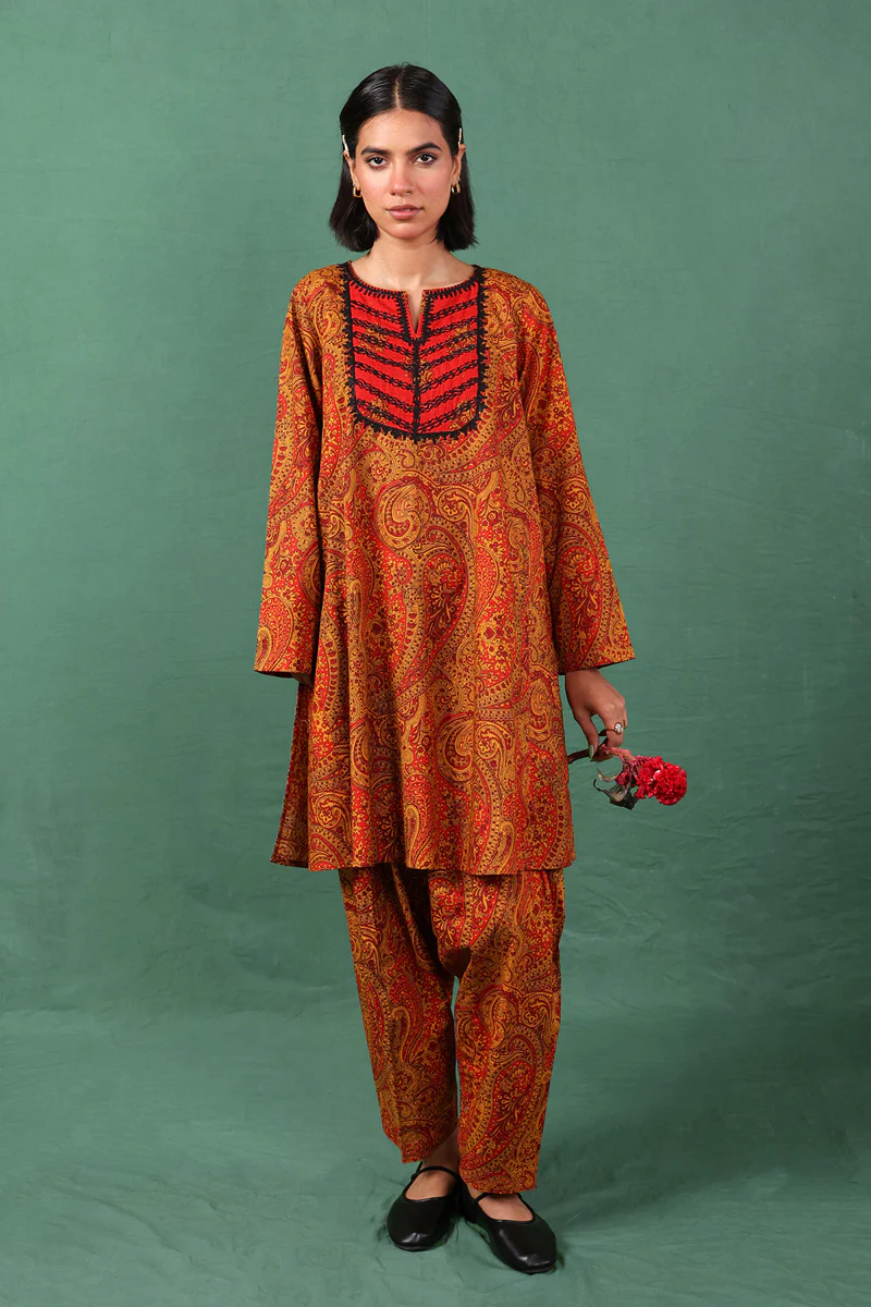 Embroidered Boho Paisley 2 Piece - Image 11