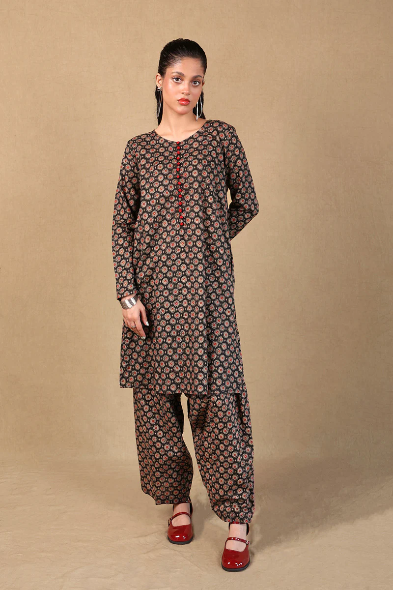 Coordinated Shahgul 2 Piece - Image 5